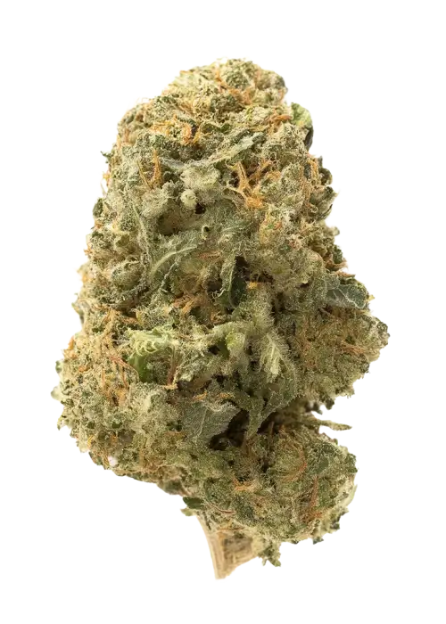 Sin Valley OG