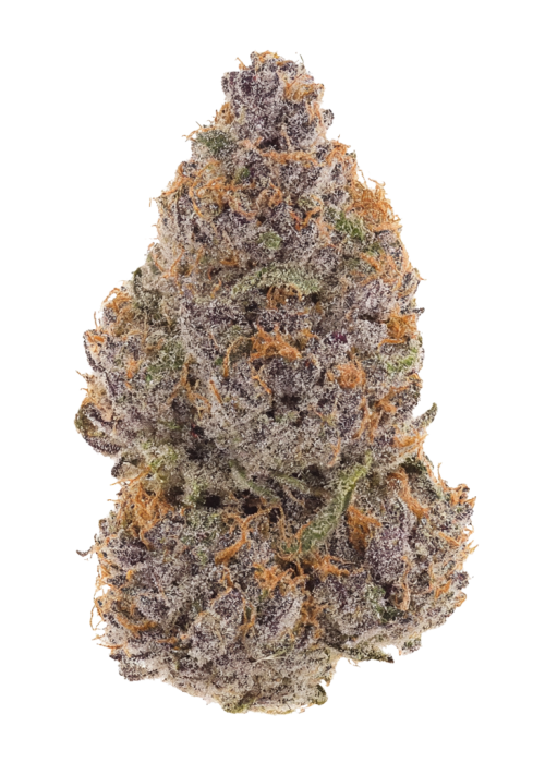 Platinum Purple Candy