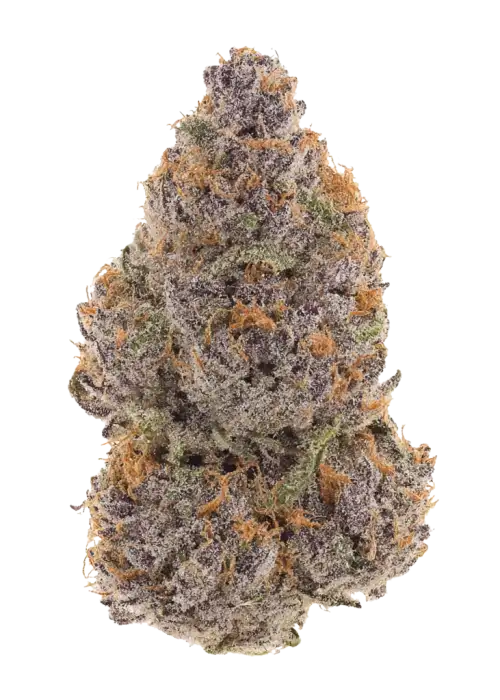 Platinum Purple Candy