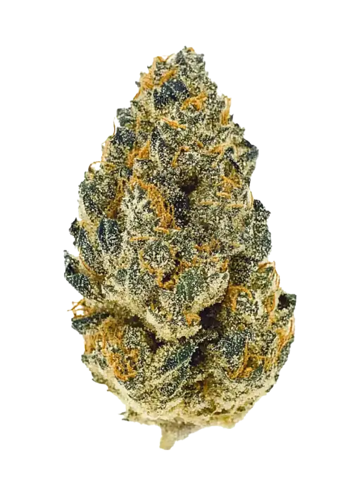 Hippie Crasher