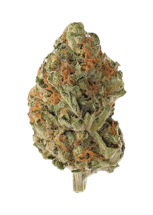 Lemon Sweet Skunk
