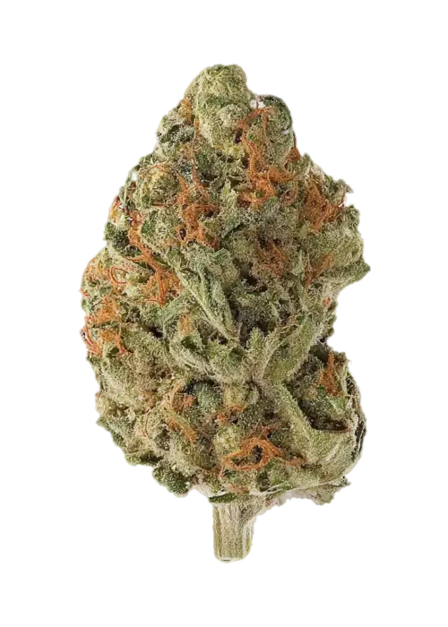 Lemon Sweet Skunk