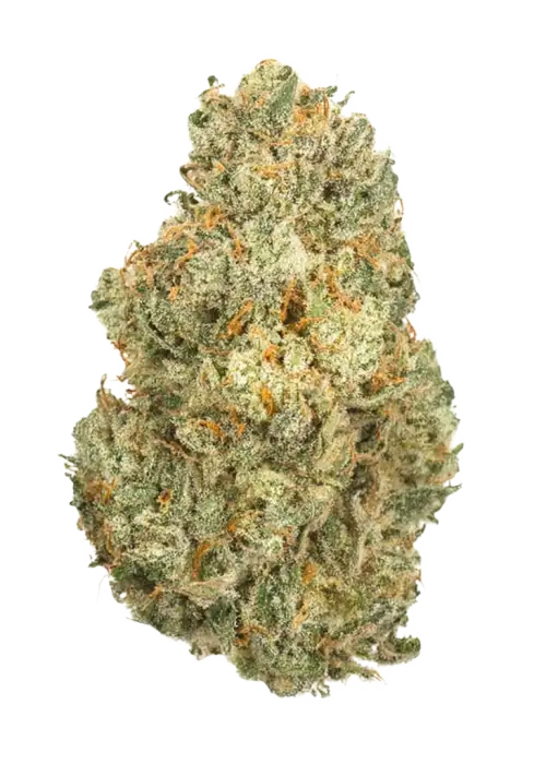 Kirkwood OG