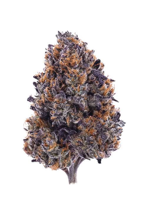 Goat Gas
