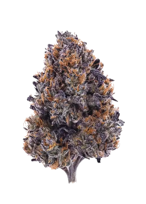 Goat Gas