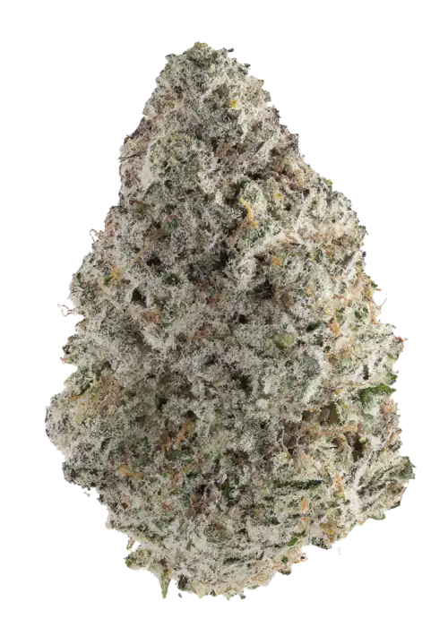 Strawberry Banana Sherbet