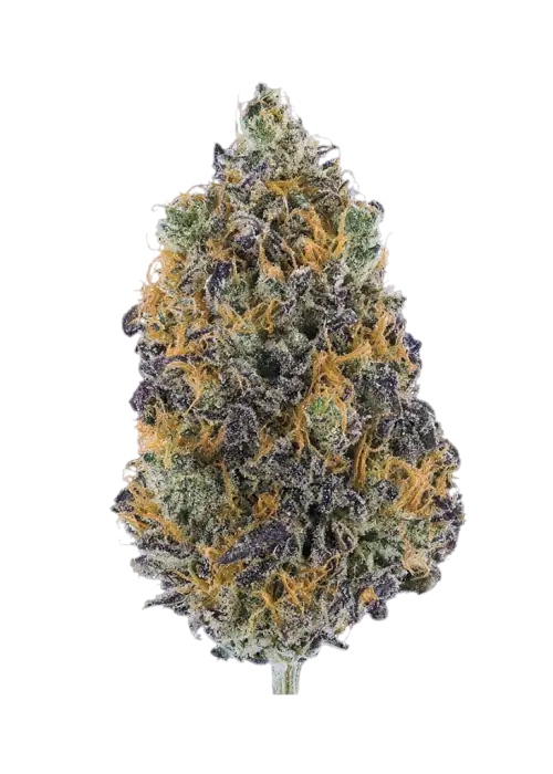 Voodoo Child