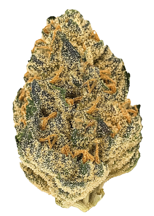 All Gas OG