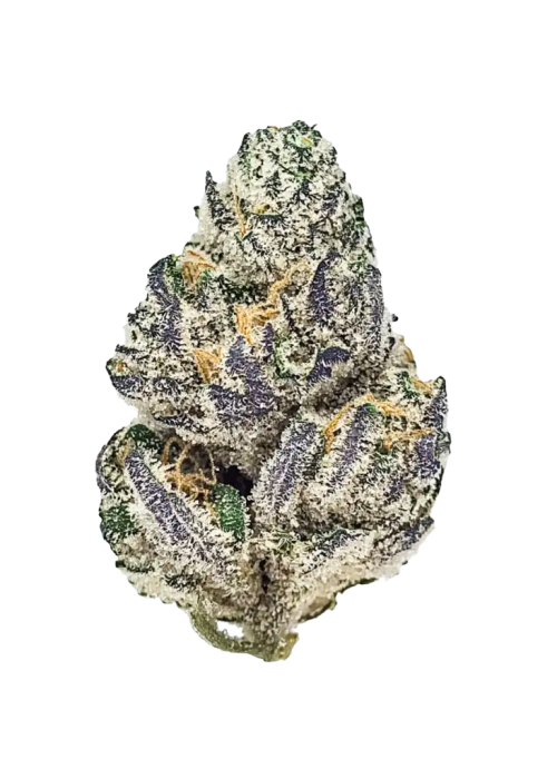 Lemonatti