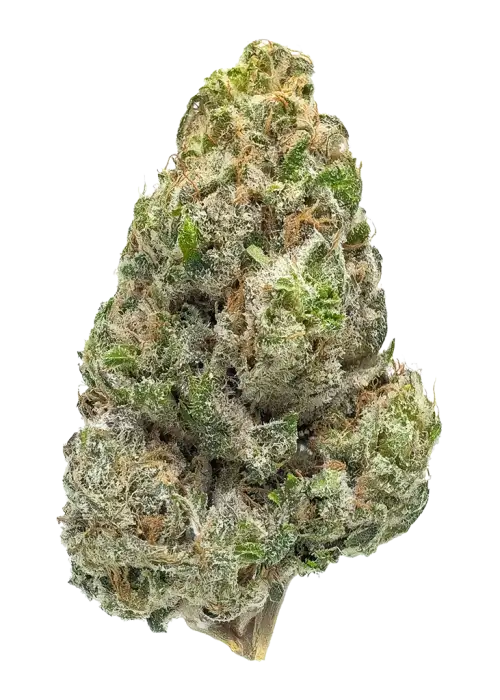 Bubbledawg