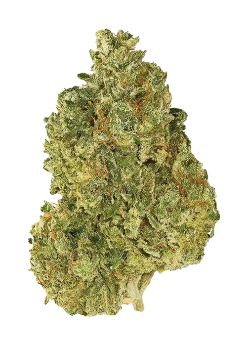 Afghan Hawaiian