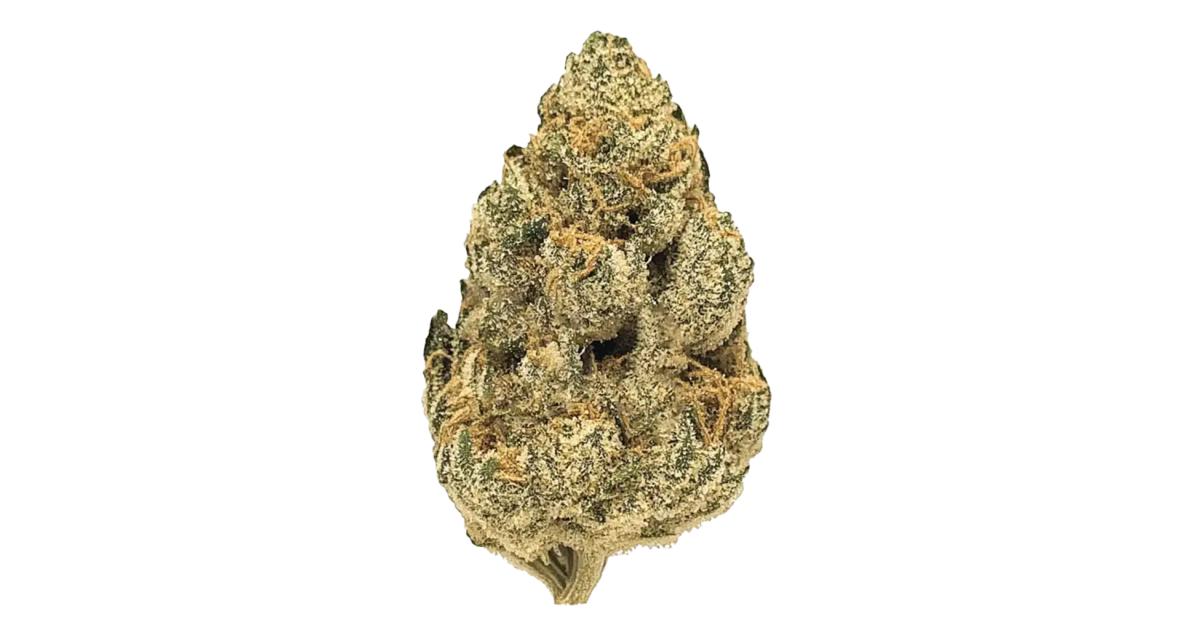 Motavation Cannabis Strain Products - GrowDiaries