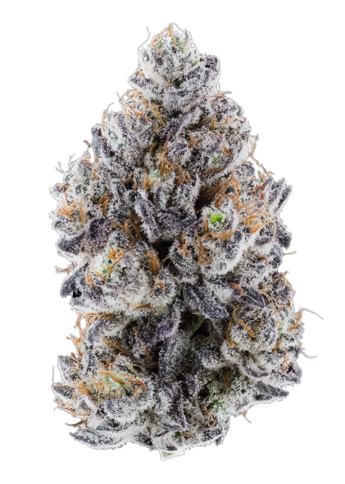 Purple Froot