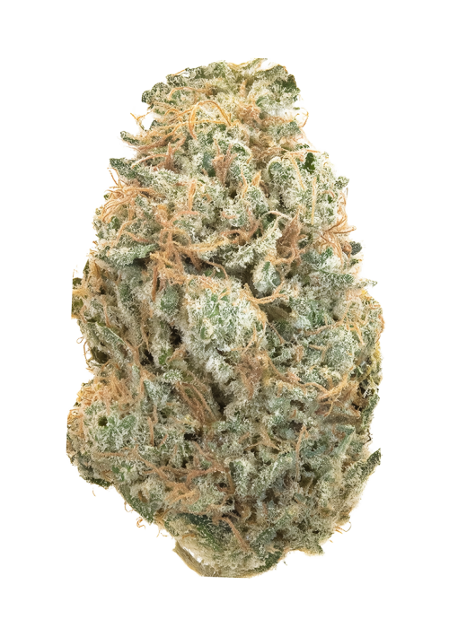 Chem De Menthe