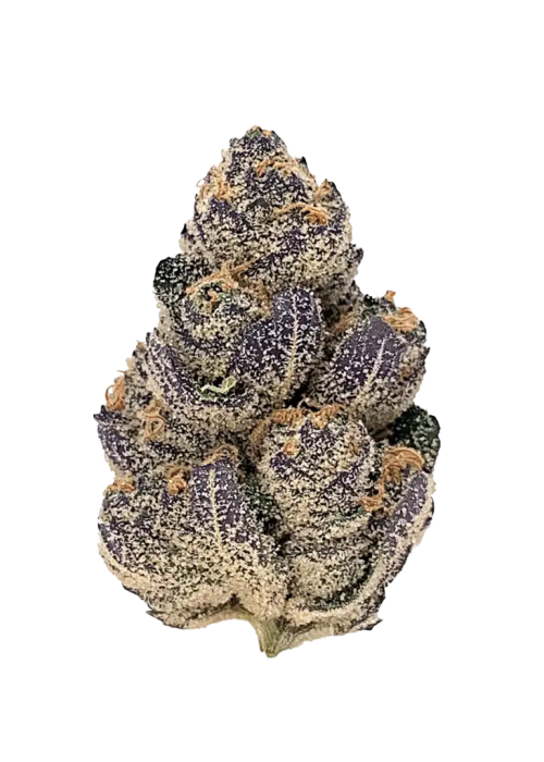 Purple Candy