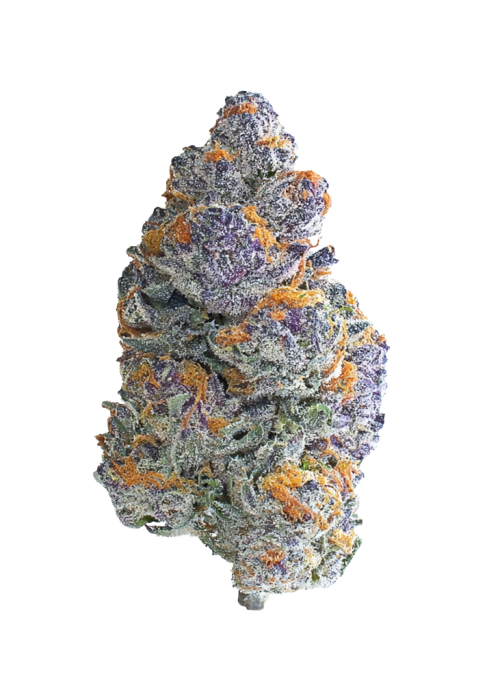 Blueberry Headband