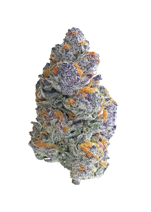 Blueberry Headband