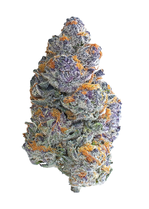 Blueberry Headband
