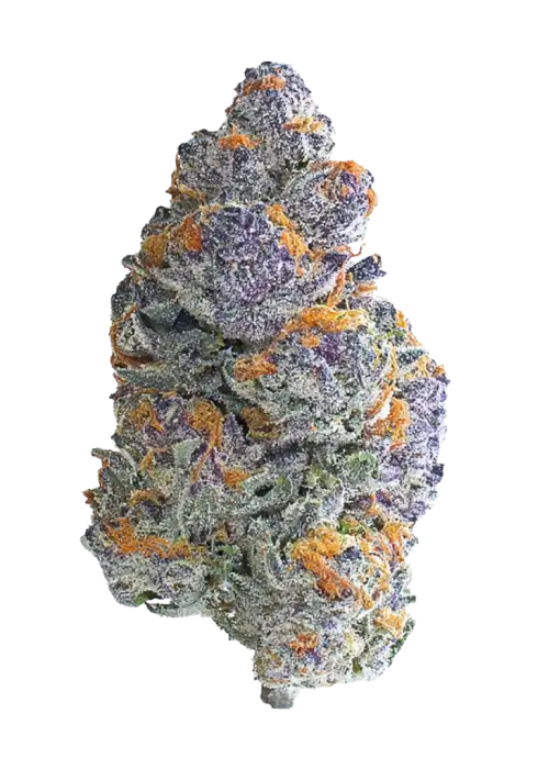 Blueberry Headband