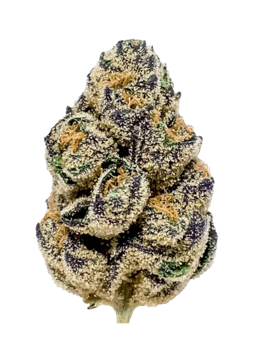 Blueberry Headband