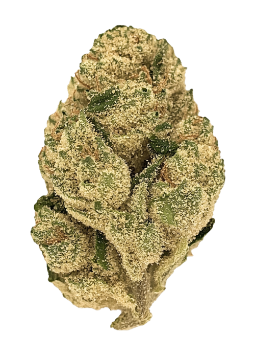 Sour Kush