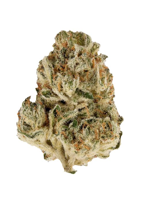 Sour Kush