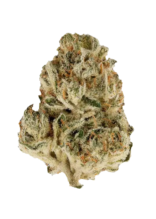 Sour Kush