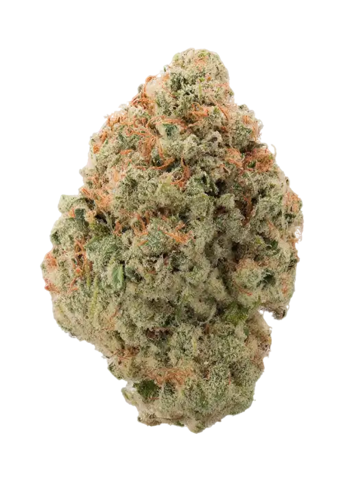 Caramelicious