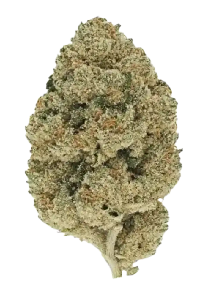 Cap Junky