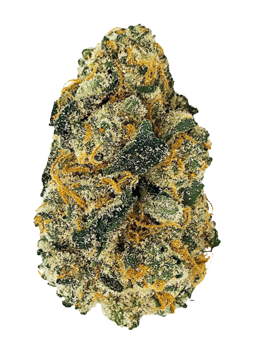 Orange Sherbert