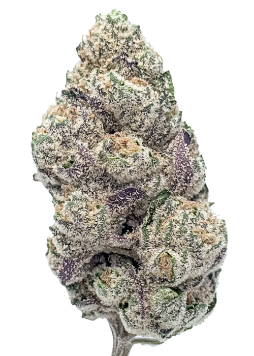 Snow White