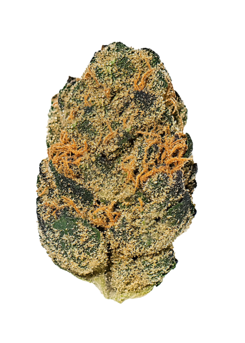 【Sativa】 THXE Lemon Meringue 1ml 10 Lemon Meringue aka Lemon Meringue Pie, Lemon Meringue Kush