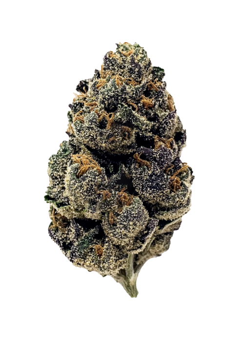 Purple Cream