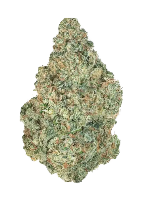 Lemon G