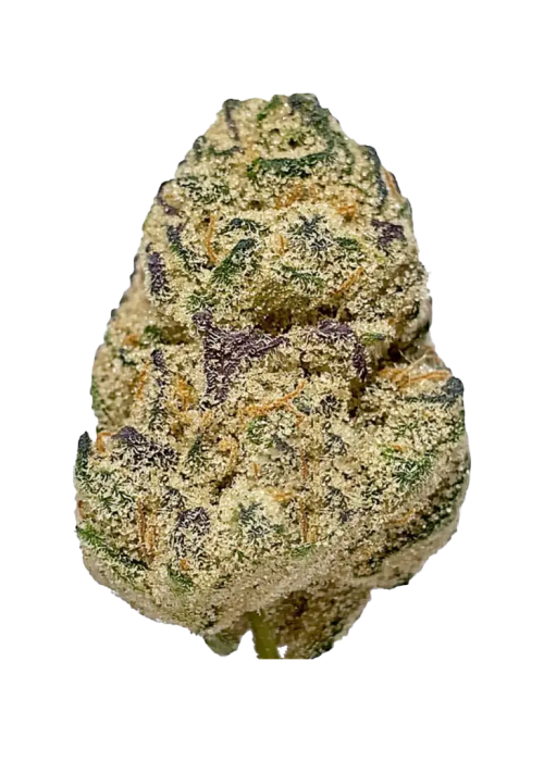 Gobbstopper
