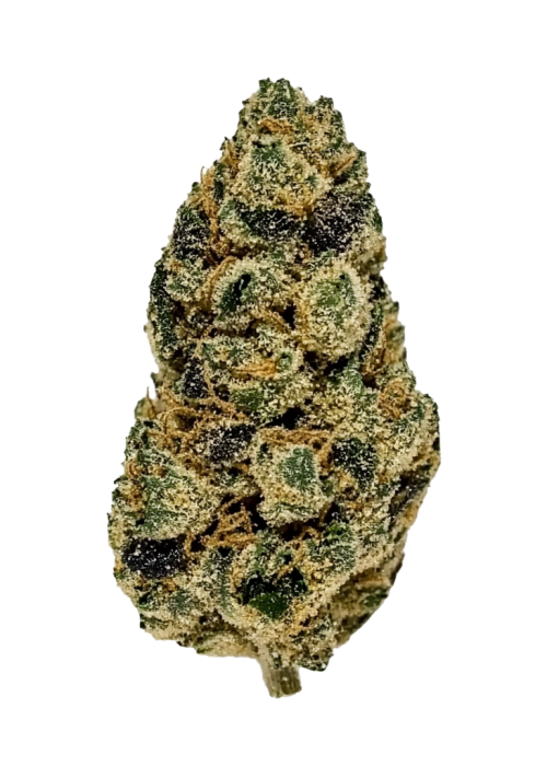 Pina Colada