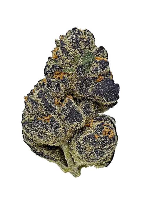Sour Grape