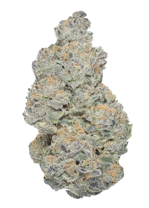 Mountain Apple