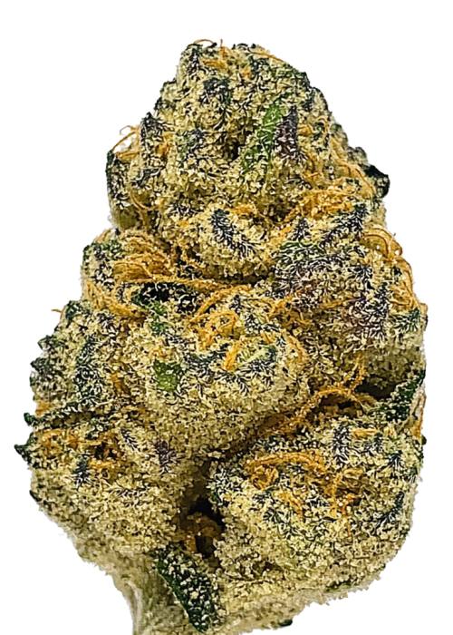 Holy Grail Kush