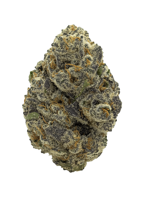 Jungle Pie