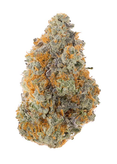 King Kush