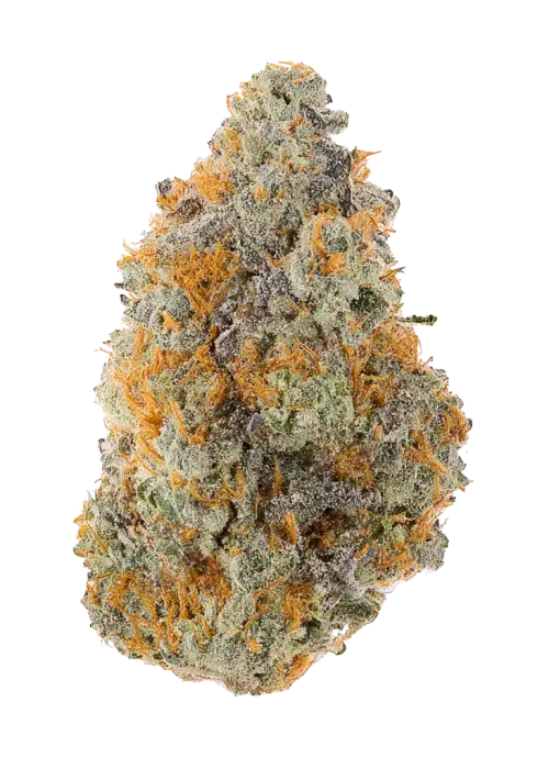 King Kush