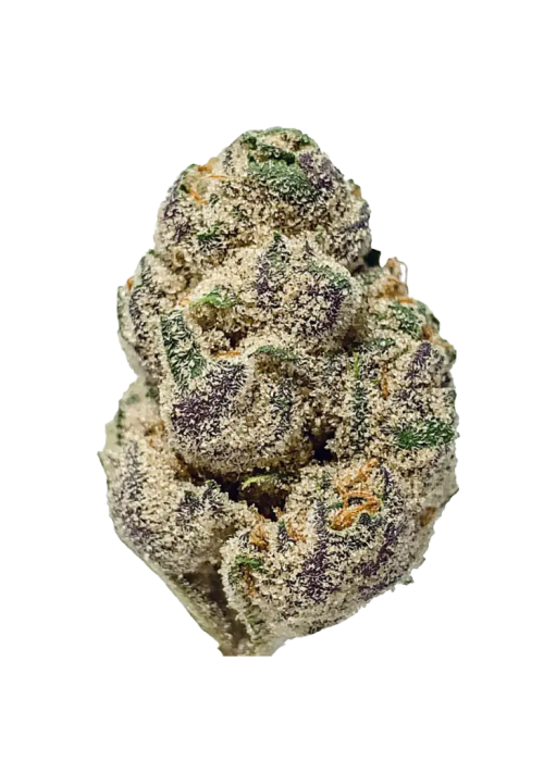 Platinum Lemon Cherry Gelato