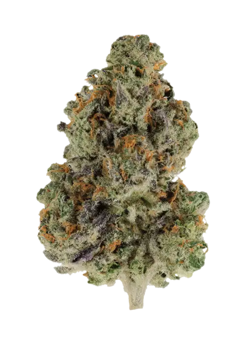 Banana Cream Pie