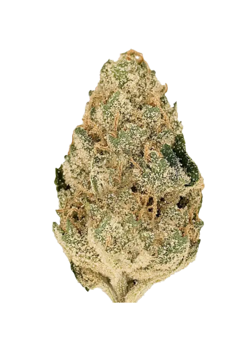 L'Orange