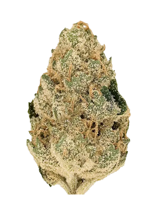 L Orange
