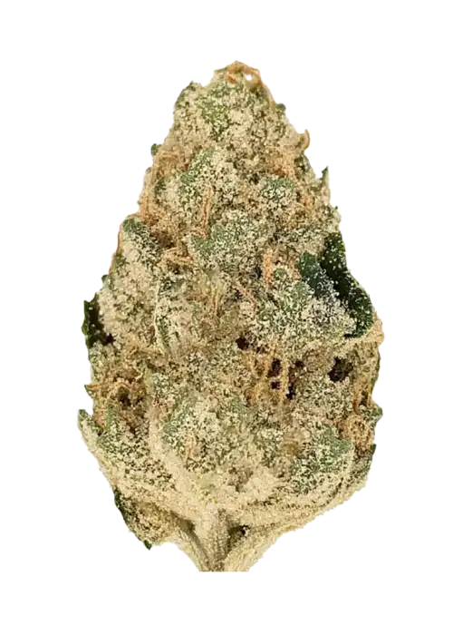 L Orange