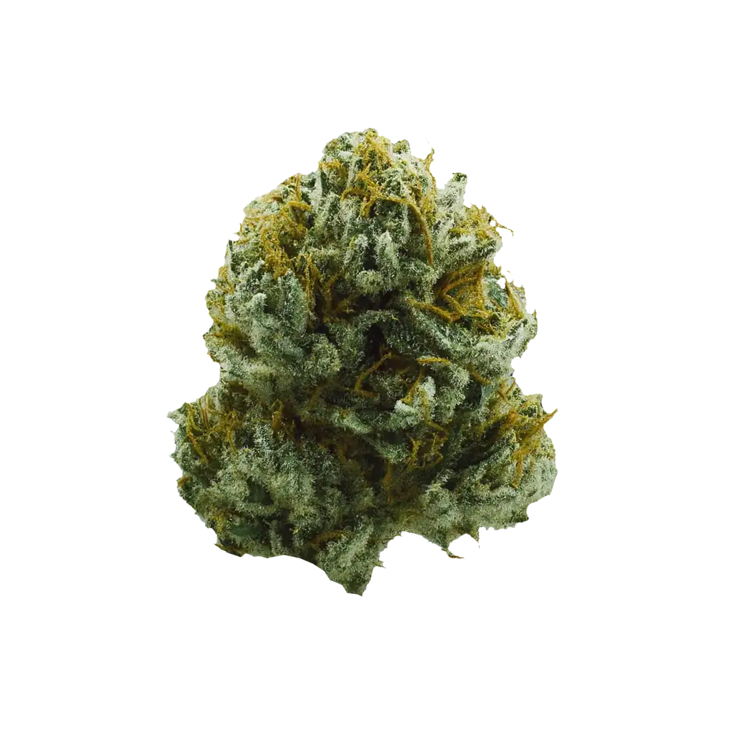 樹 XJ-13 Cannabis Strain Information - GrowDiaries