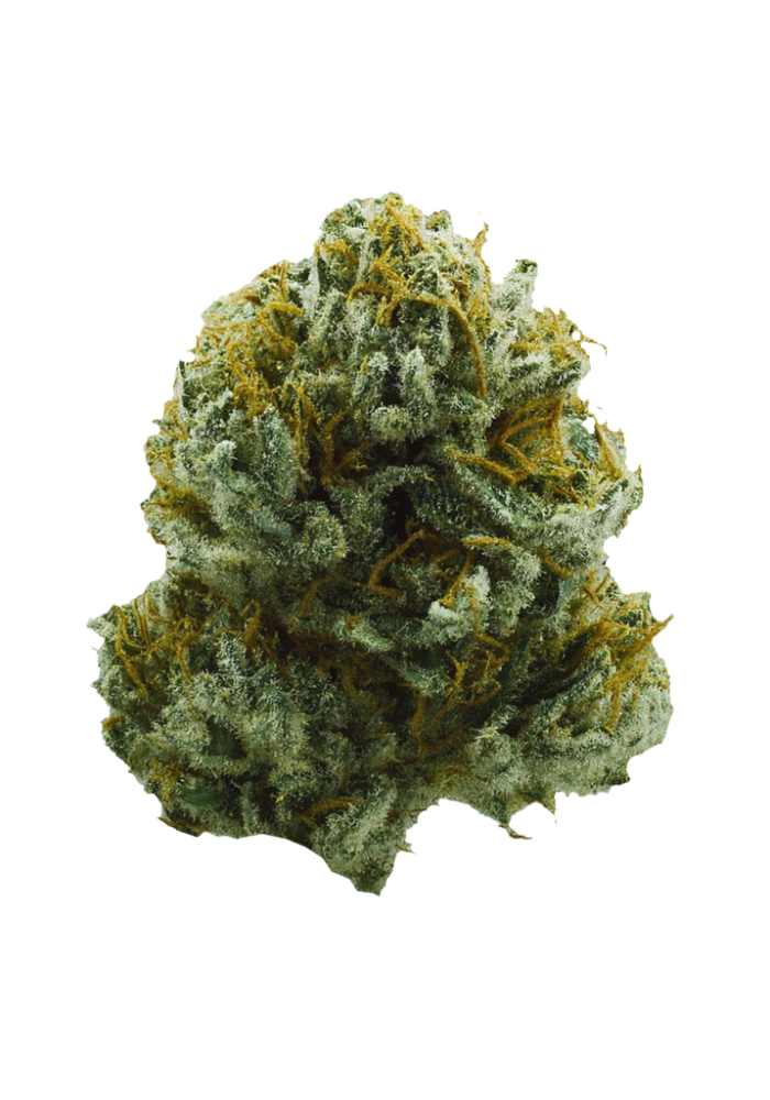 8624-xj-13_1000.png