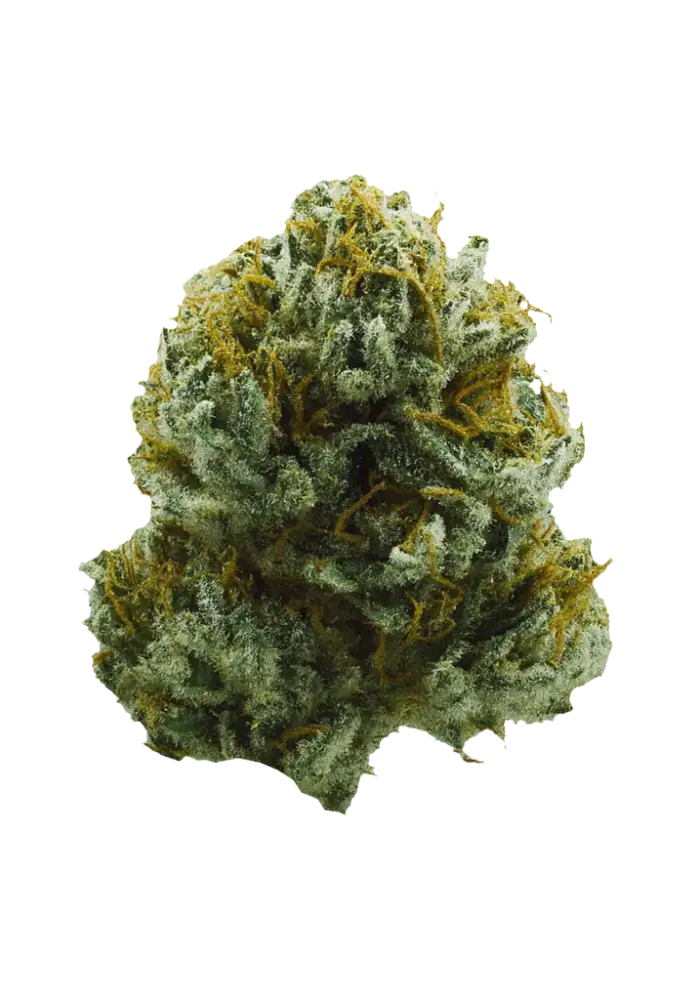 XJ-13 Cannabis Strain Products - GrowDiaries